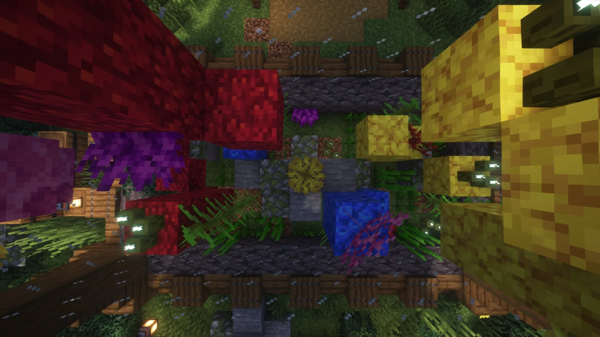 Big Aquarium - Image 3