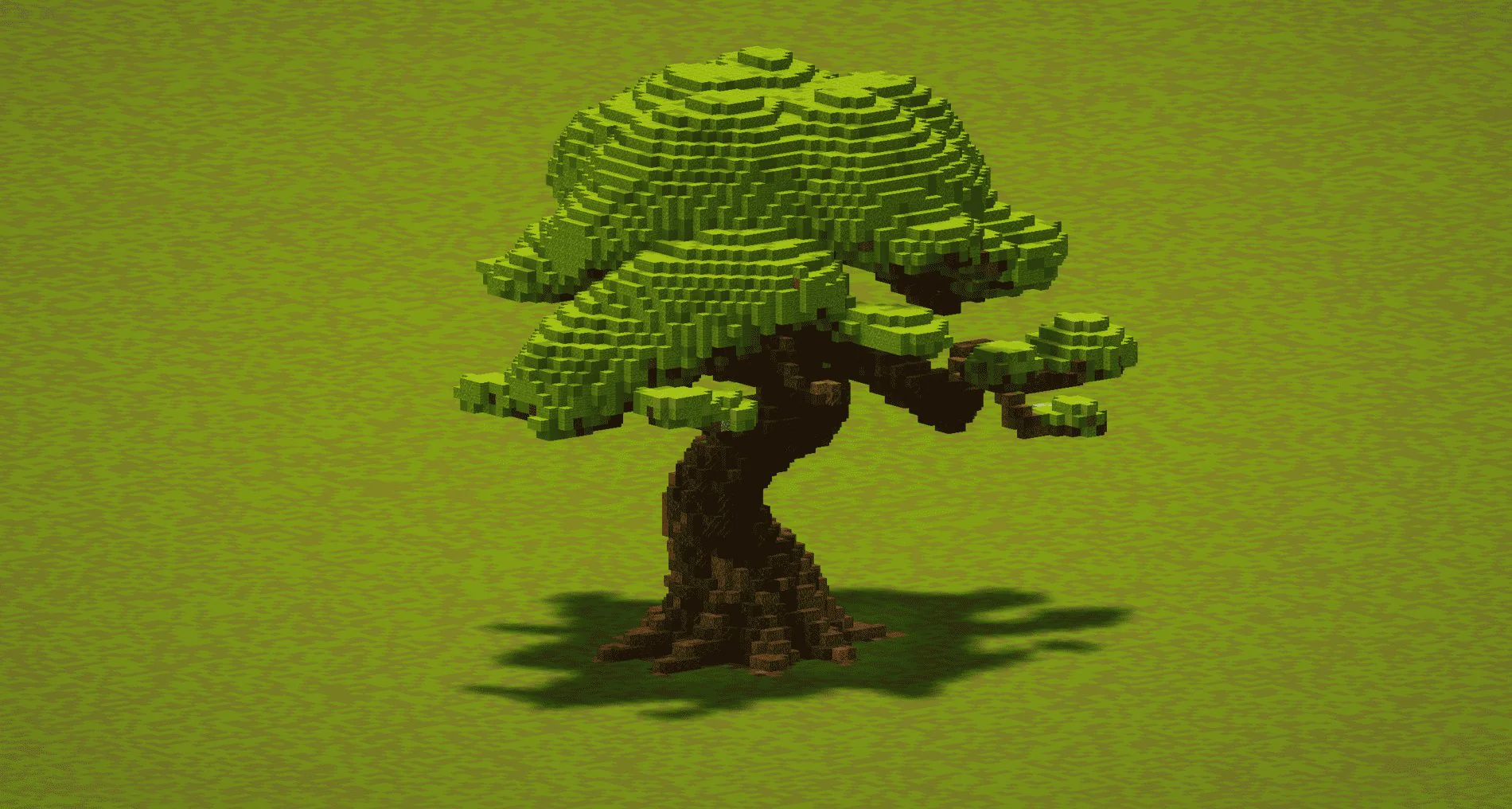 Big Oak Tree - Image 4