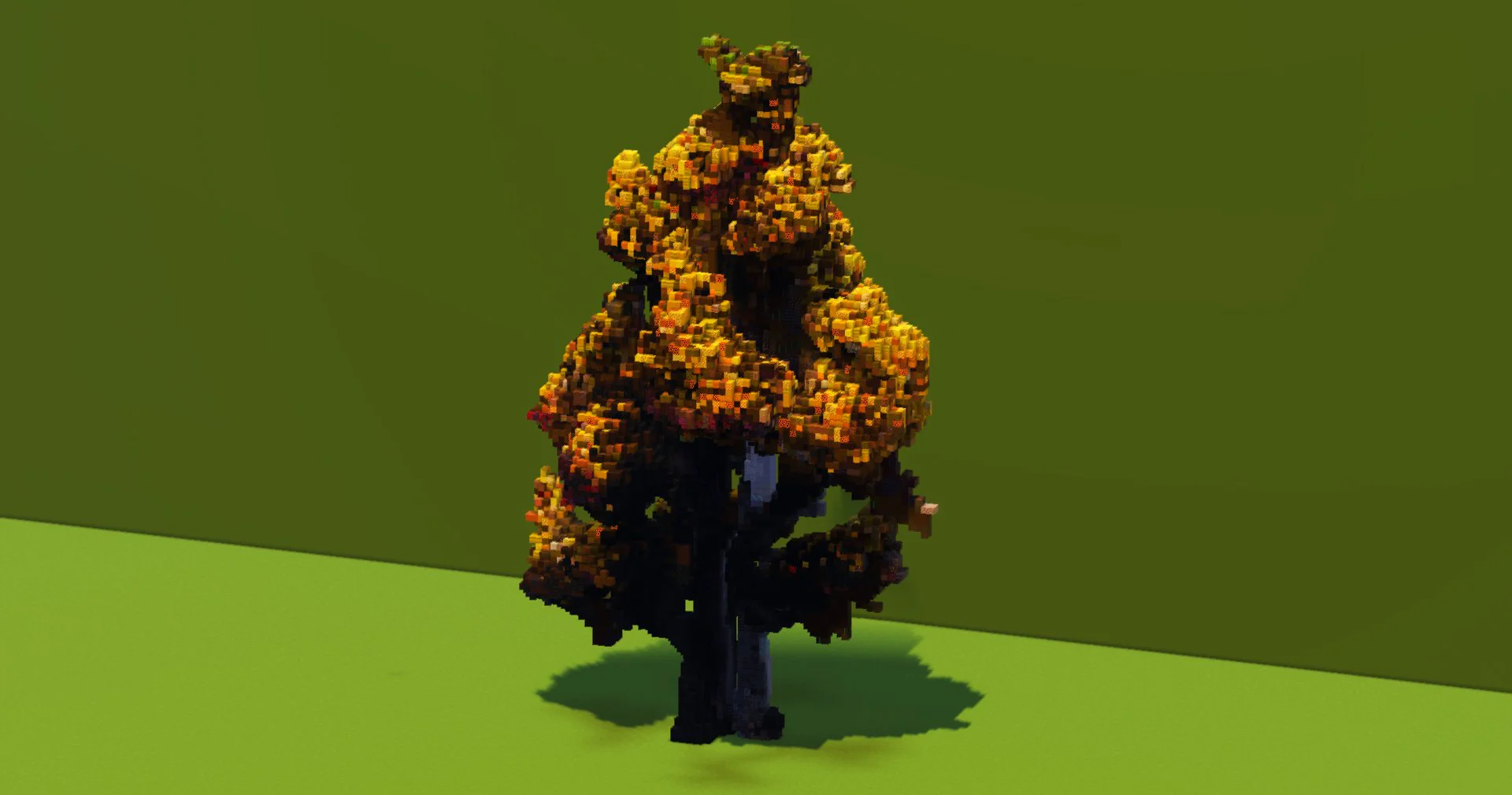 Birch Tree - Image 2
