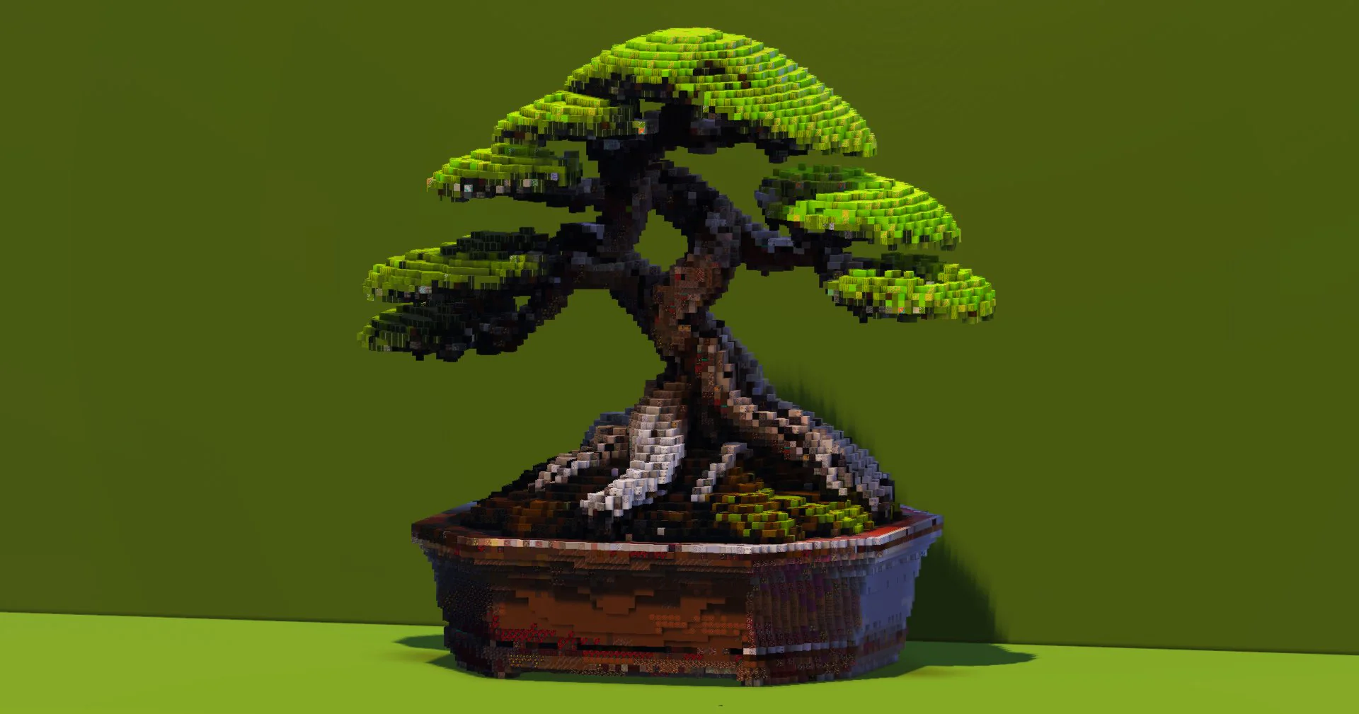 Bonsai Tree - Image 2