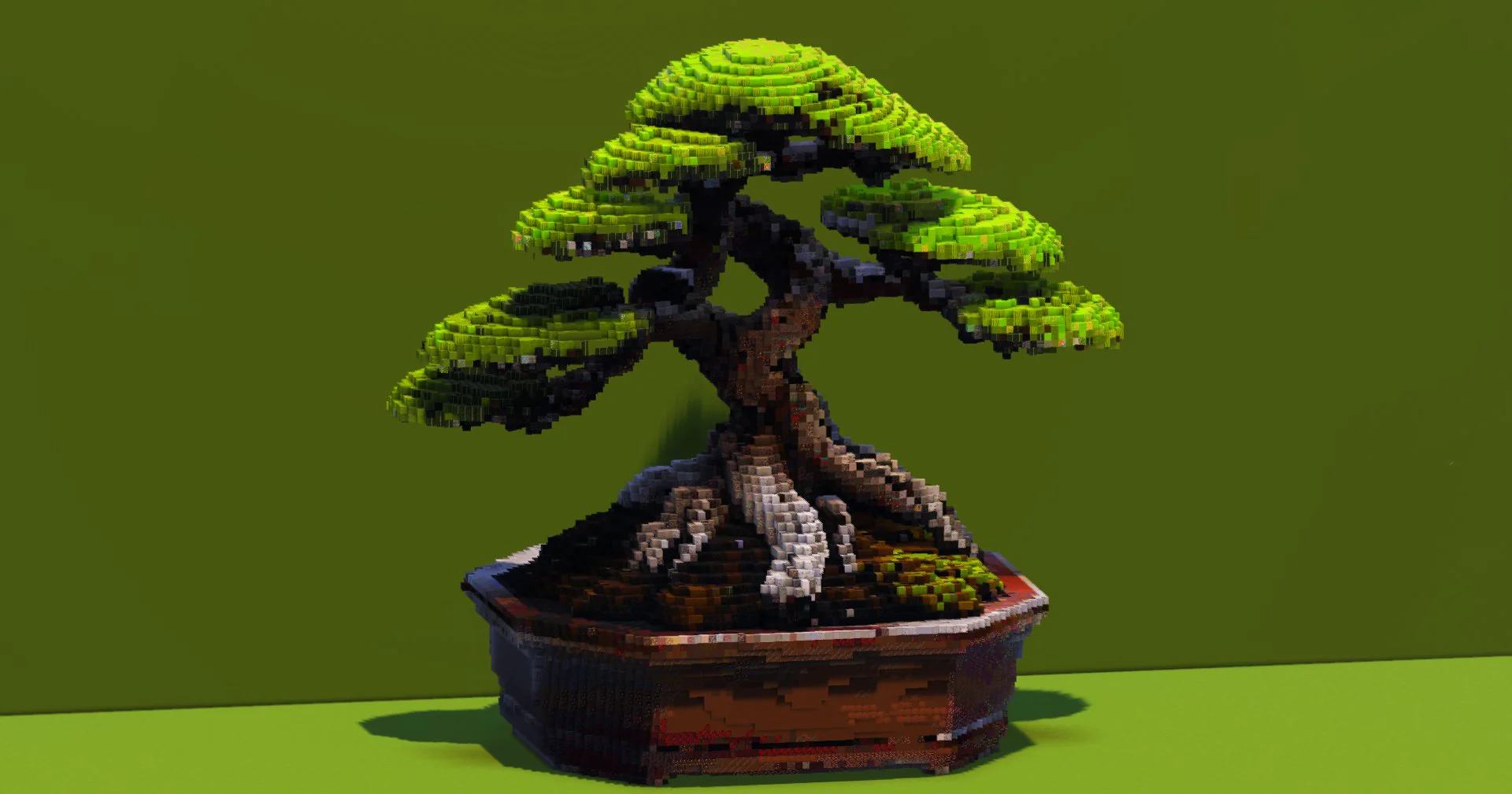 Bonsai Tree - Image 3
