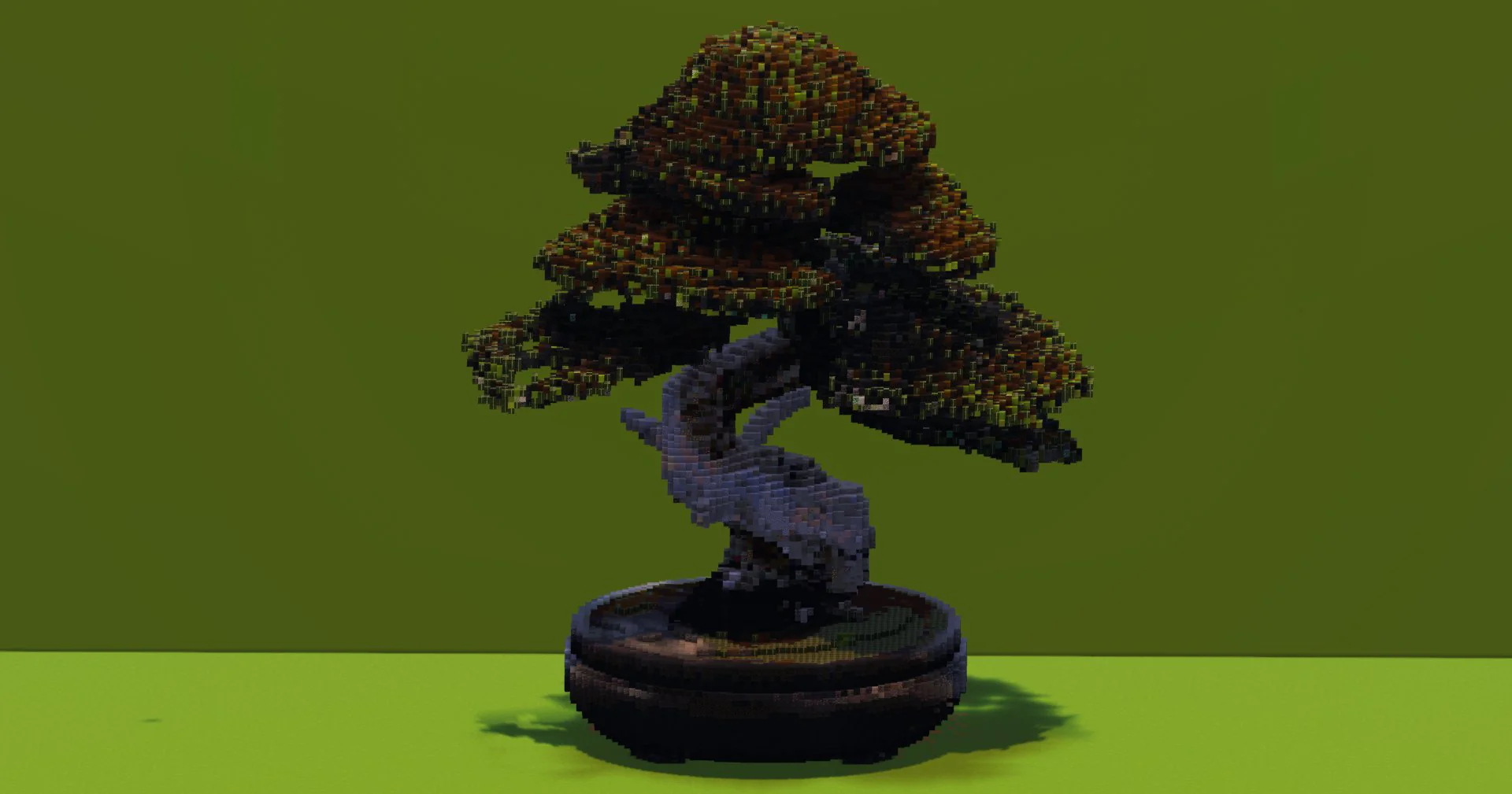 Bonsai Tree - Image 2