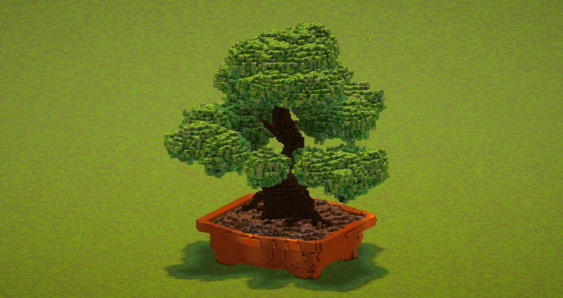 Bonsai tree - Image 2