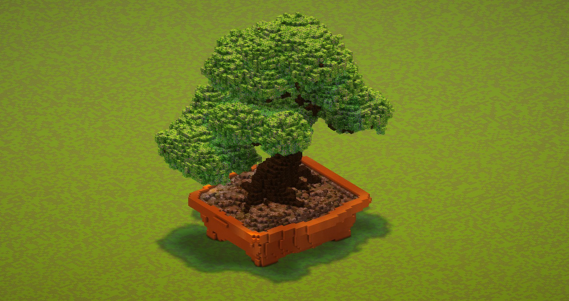 Bonsai tree - Image 3