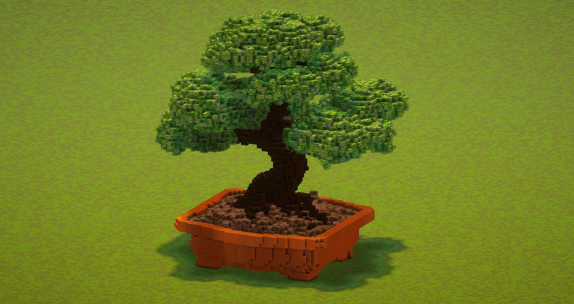 Bonsai tree - Image 4