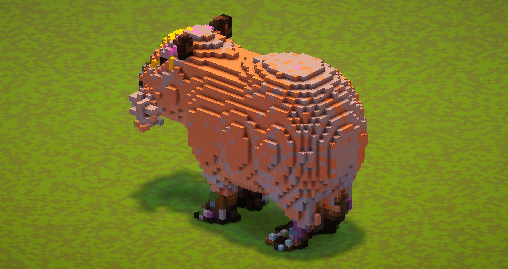 Capybara - Image 3