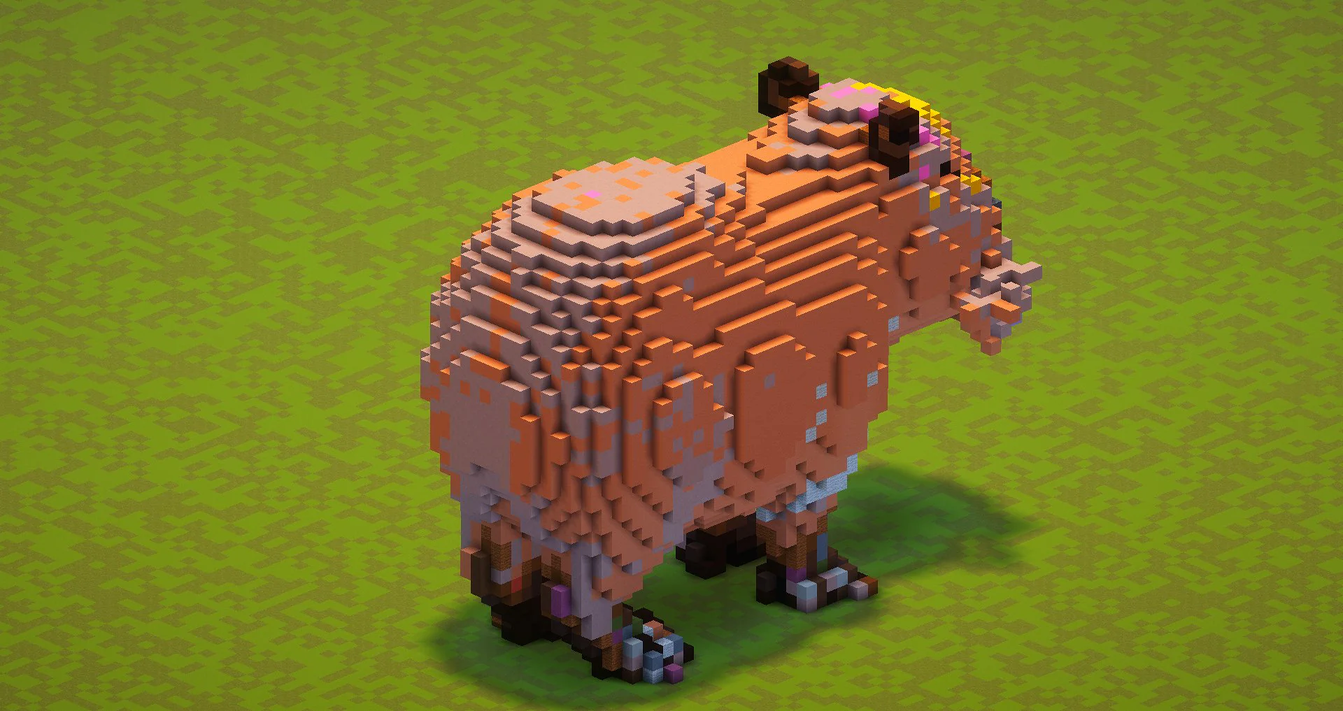 Capybara - Image 4