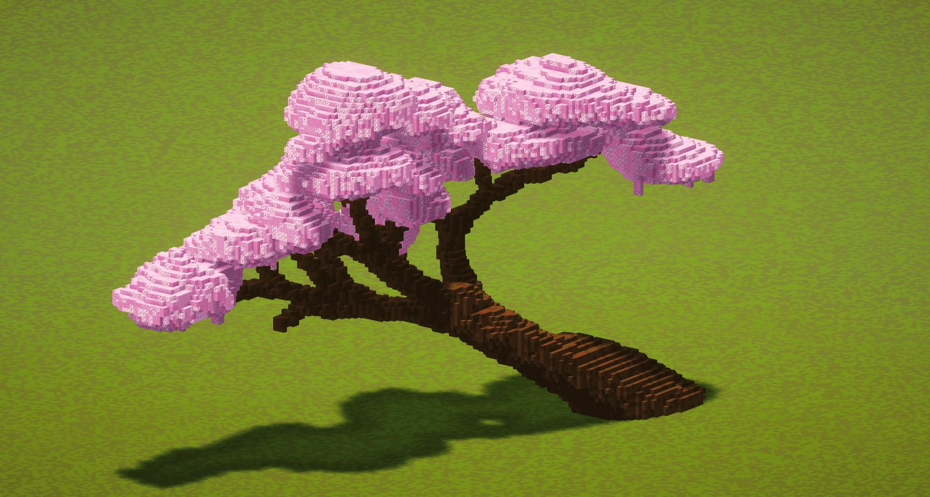 Cherry Tree Branch - Image 3