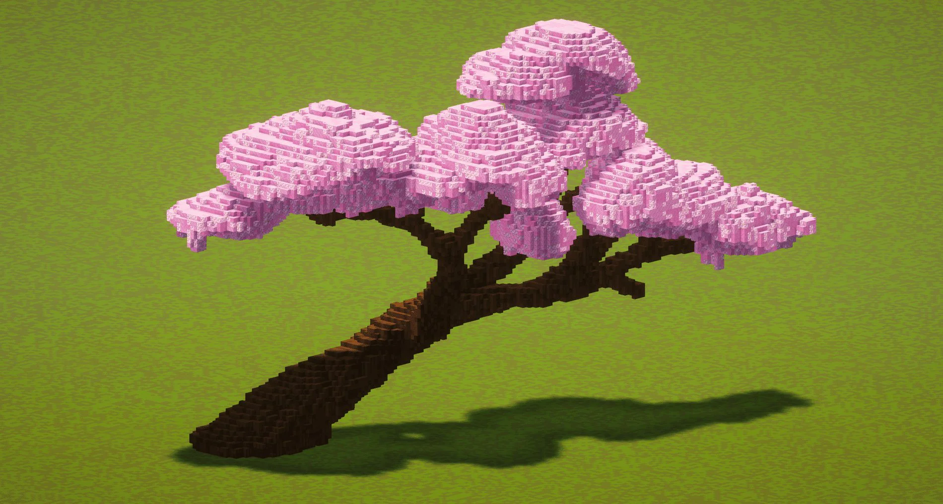 Cherry Tree Branch - Image 4