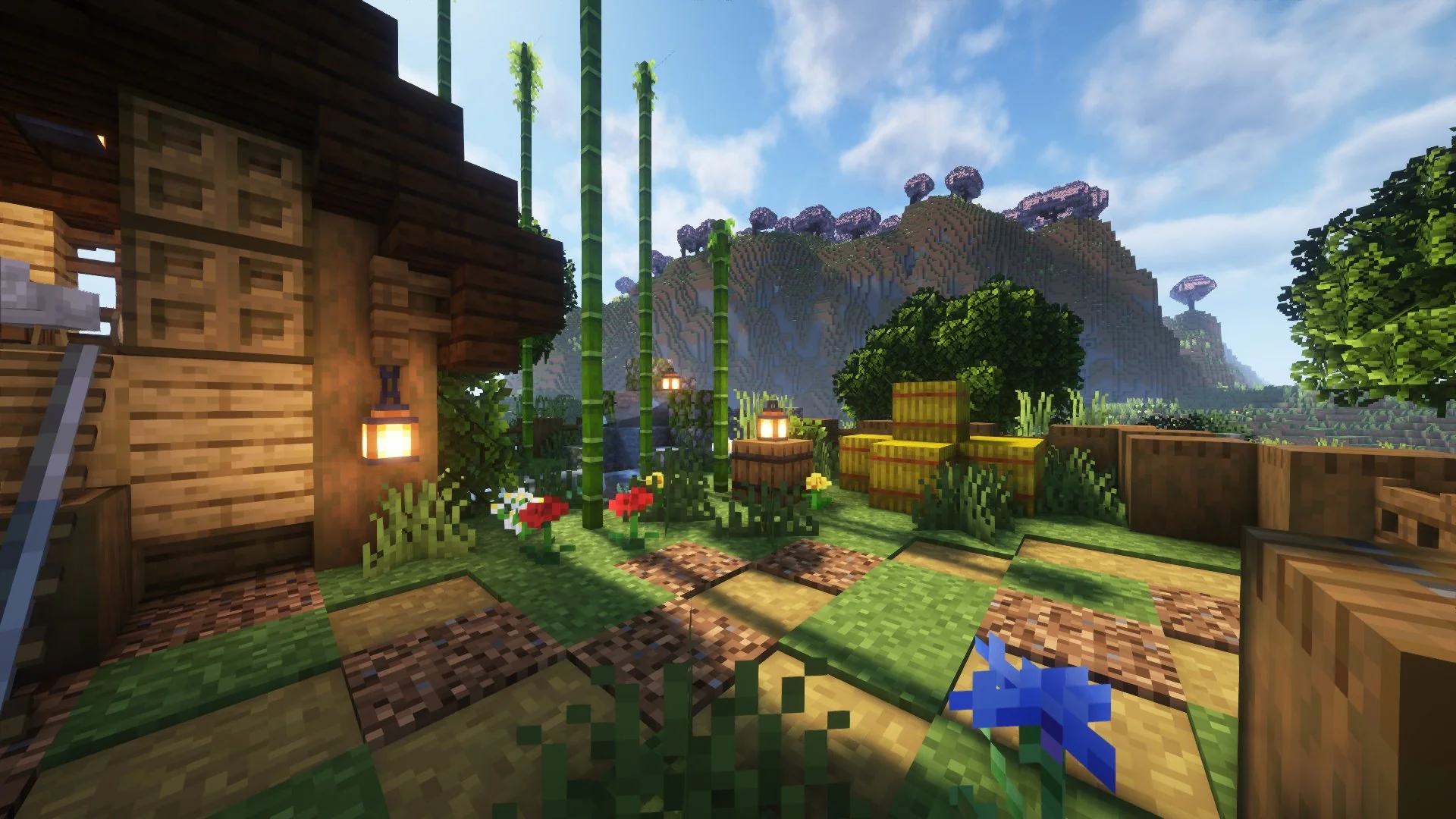 Chicken Coop - Image 5
