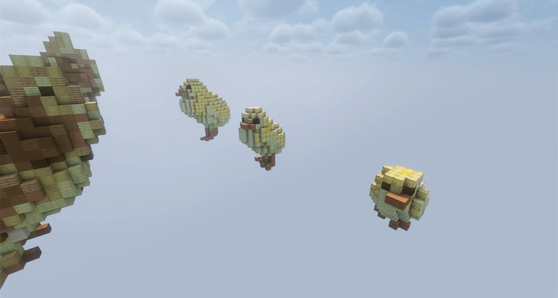 Chicken Organic Pack - Image 4
