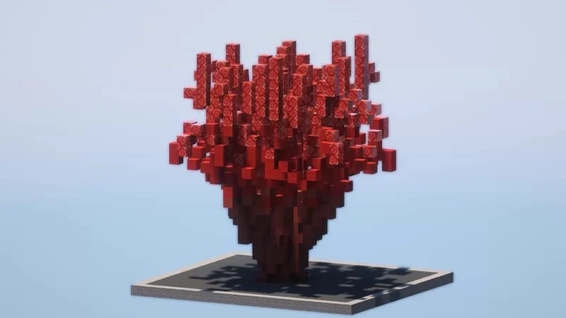 Custom Coral Pack - Image 2