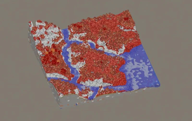 Custom Survival Fantasy Map - Image 3