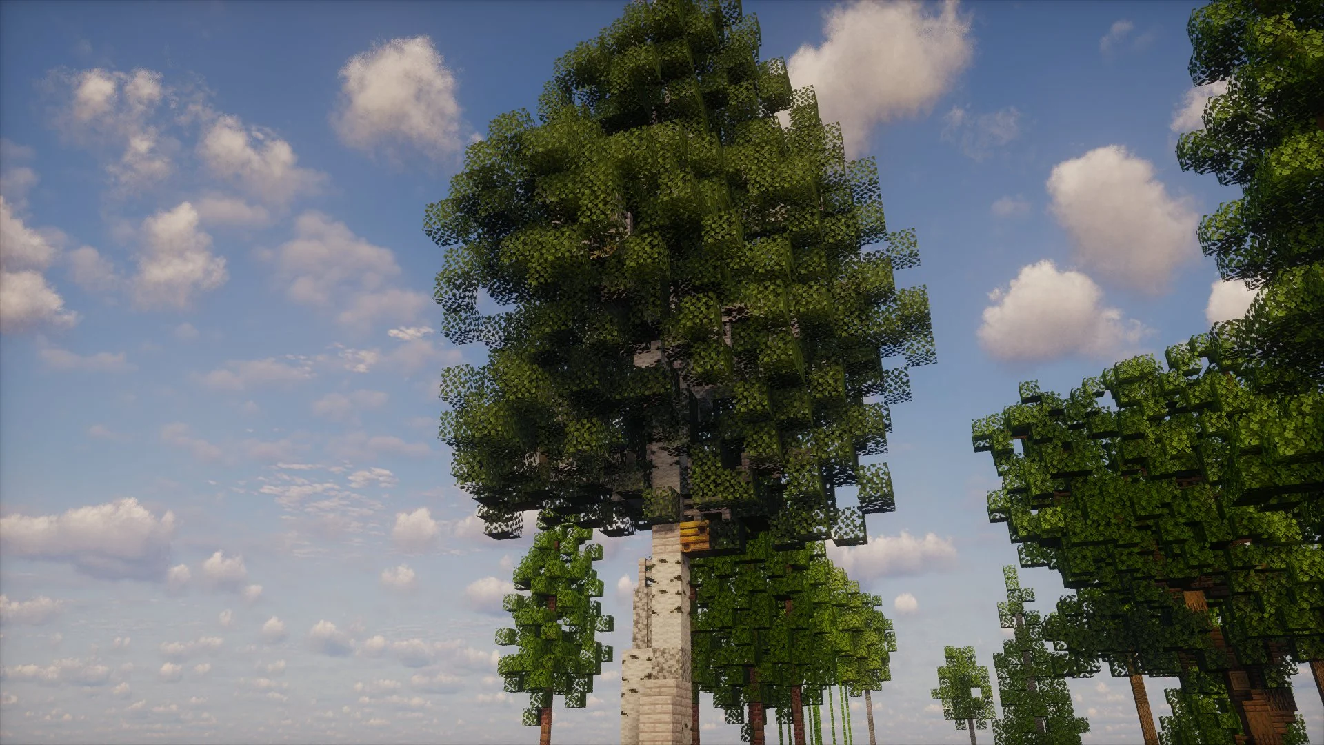 Custom tree collection - Image 4