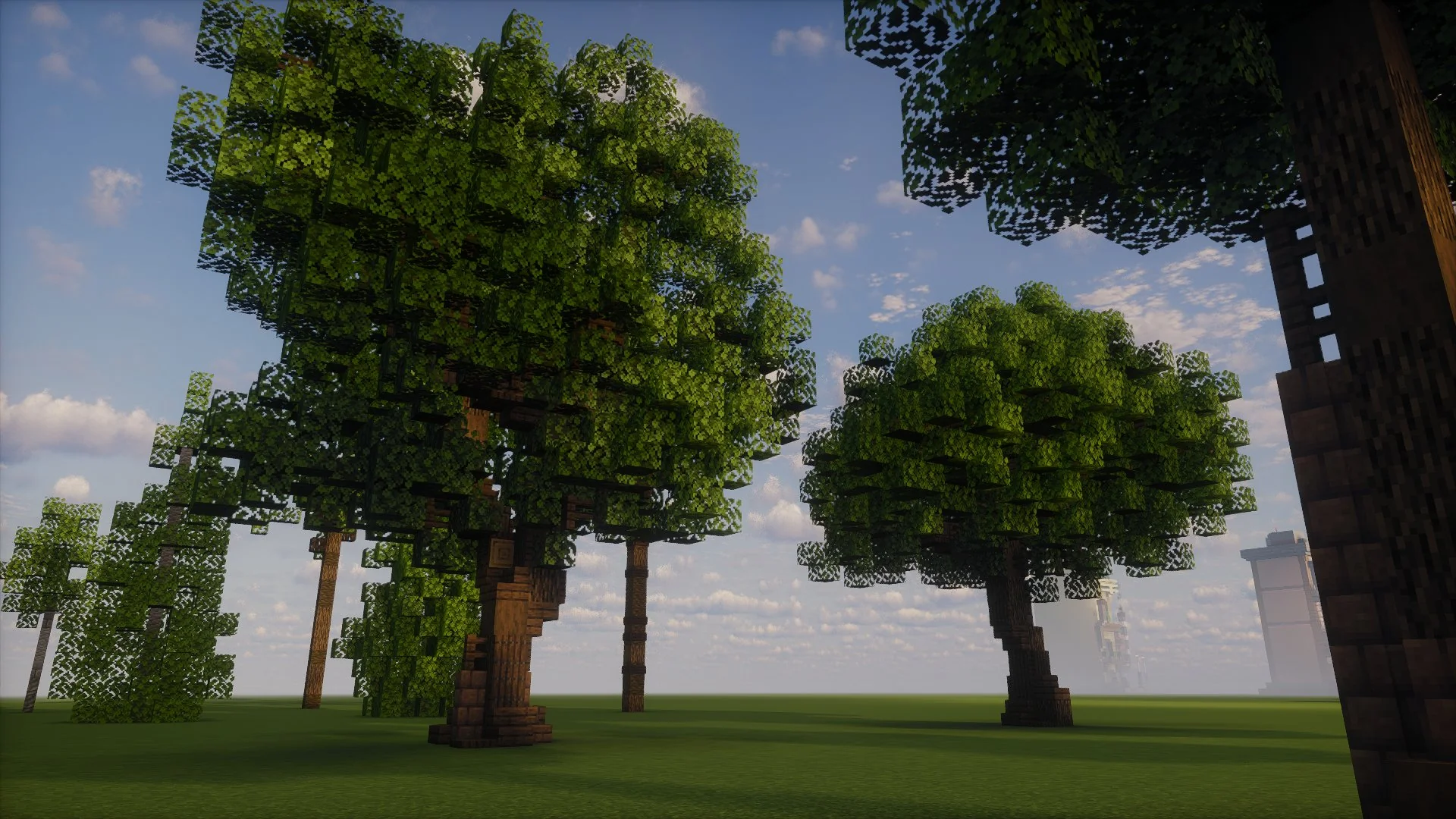 Custom tree collection - Image 6