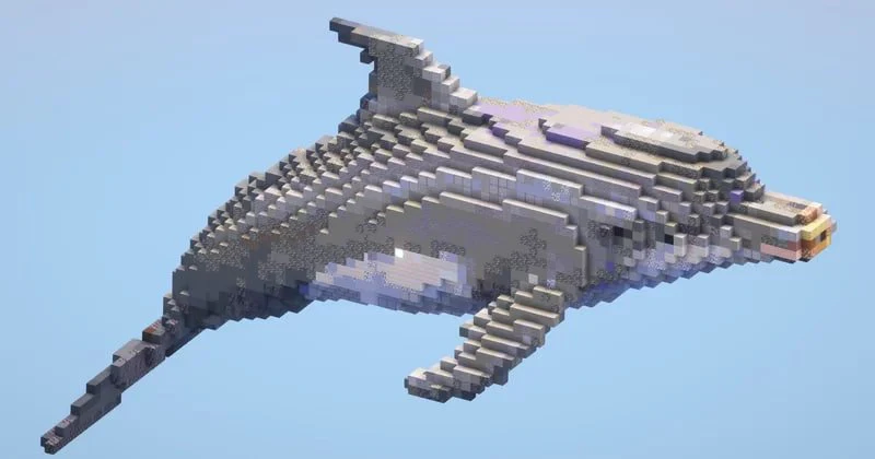 Dolphin - Image 2