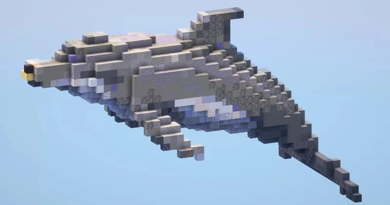 Dolphin Small - Image 3