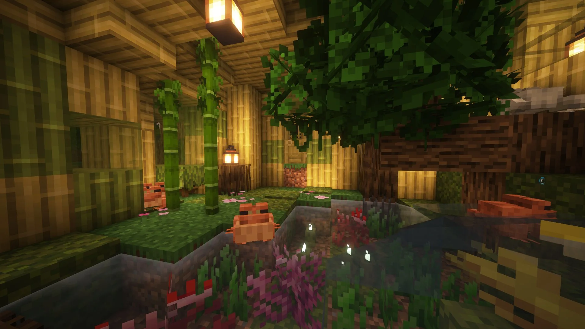 Frog House - Image 3