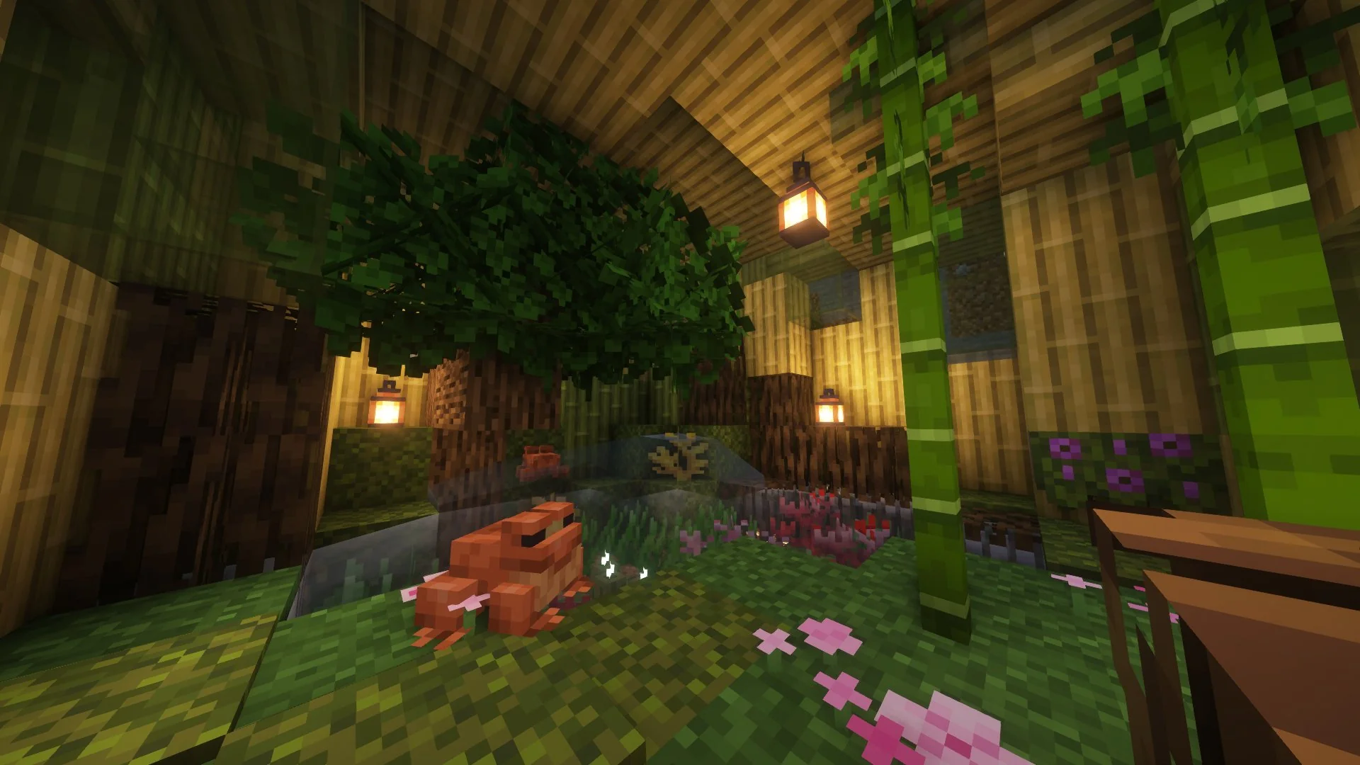 Frog House - Image 4