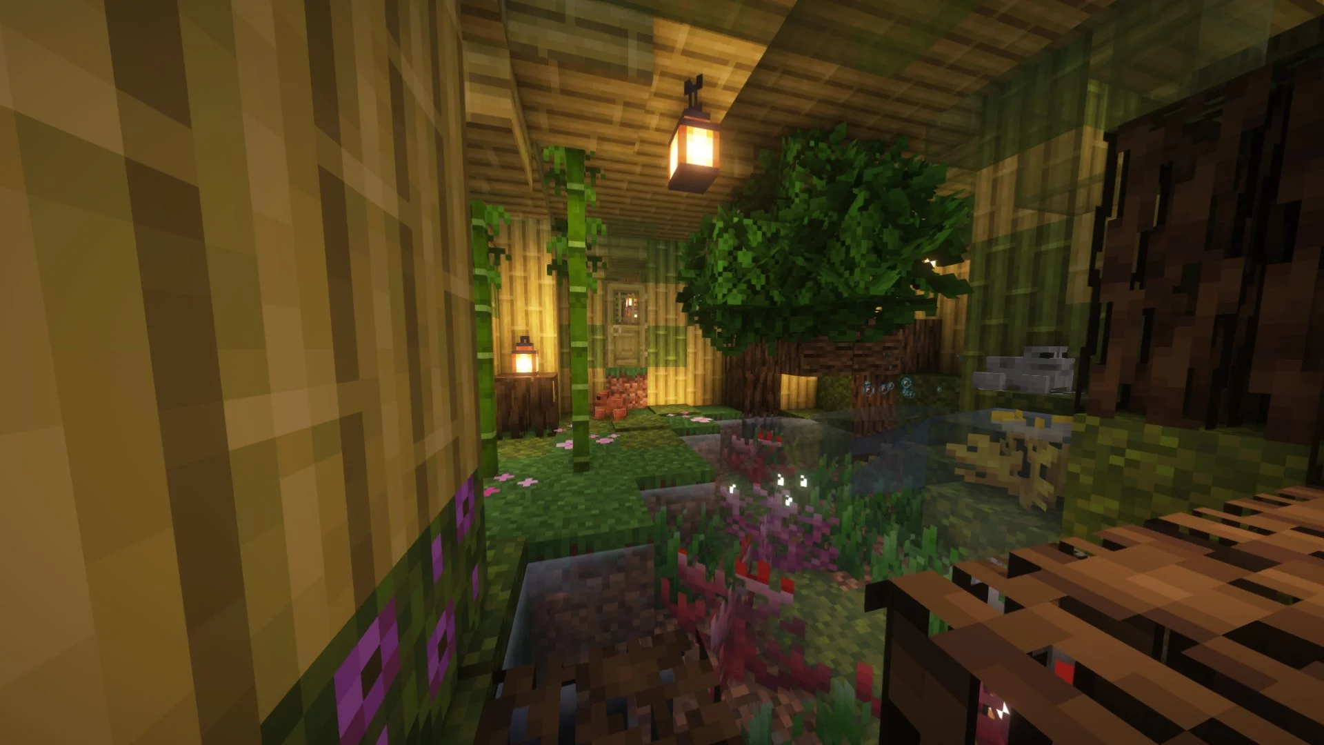Frog House - Image 5