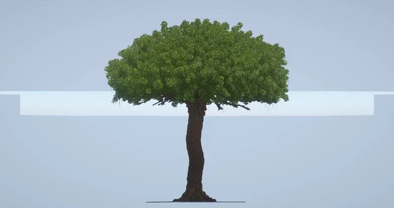Giant Tree - Image 3