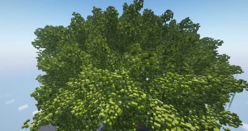 Giant Tree - Image 5