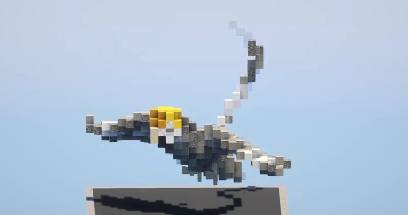 Gray Parrot - Image 2