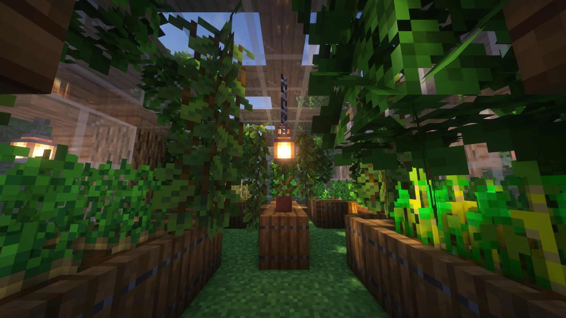 Green House - Image 4