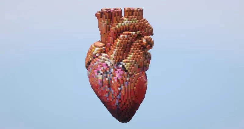 Human Heart - Image 2
