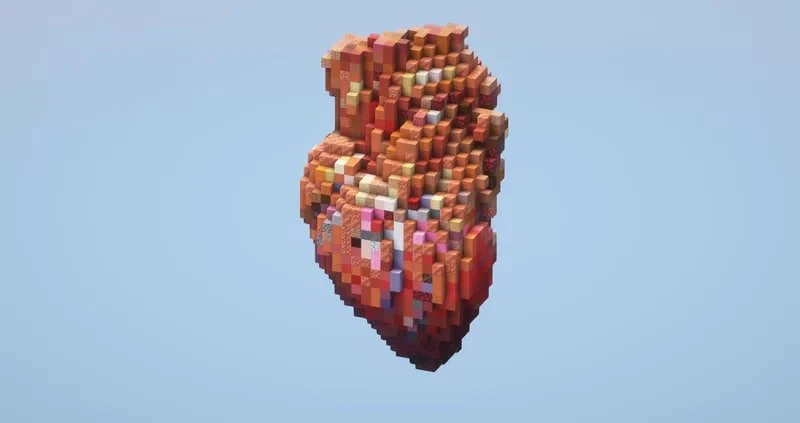 Human Heart Small - Image 2