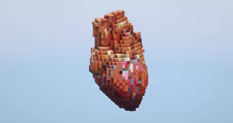 Human Heart Small - Image 3
