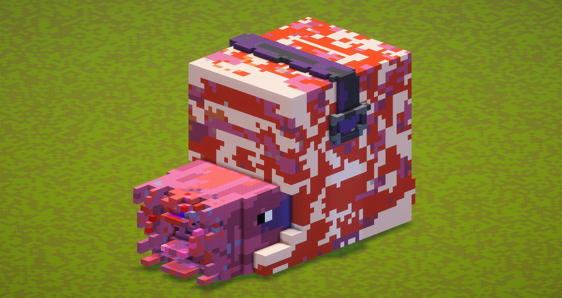 Nautilus - Image 2