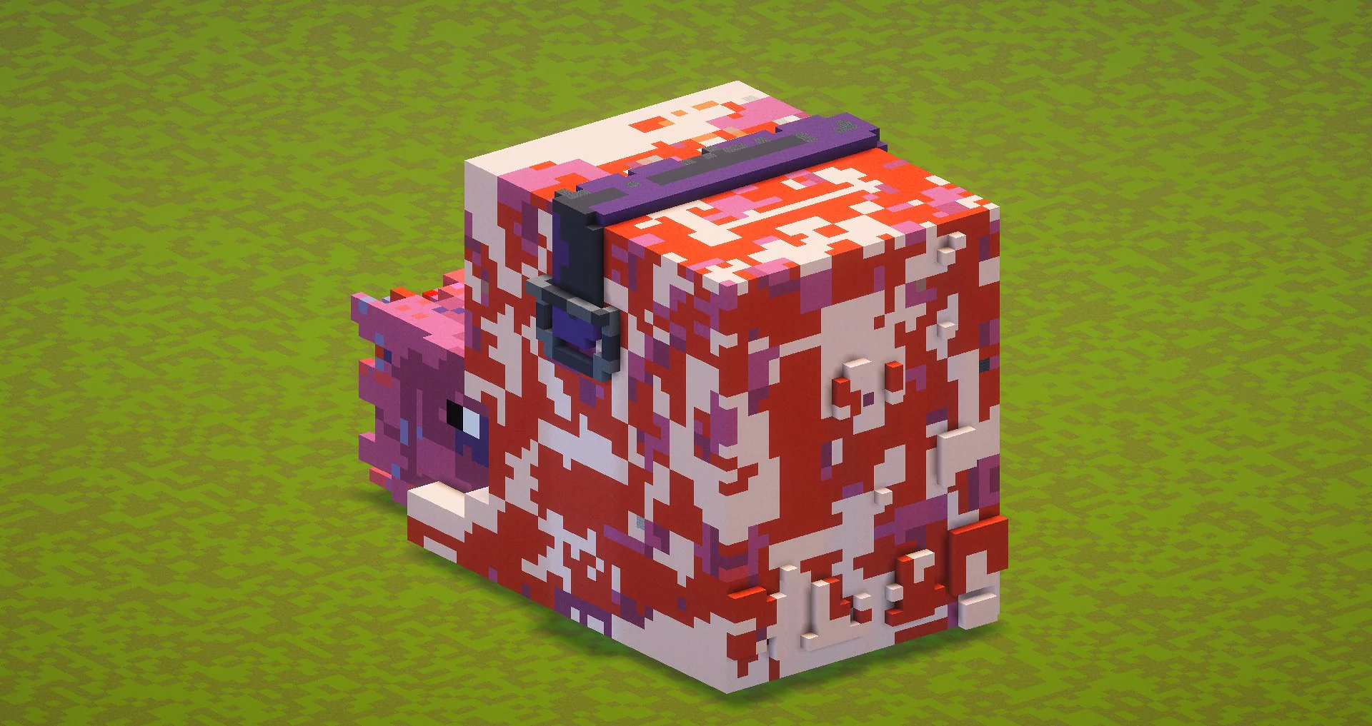 Nautilus - Image 3
