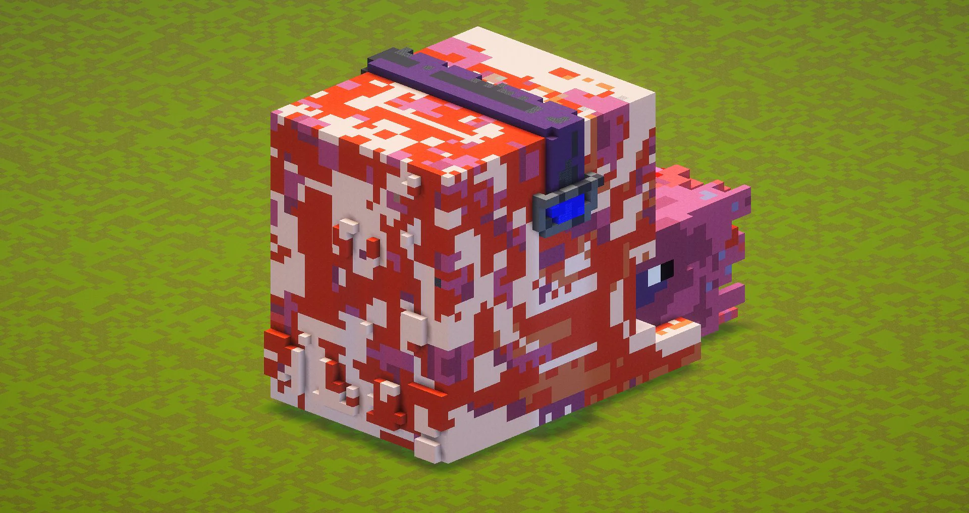 Nautilus - Image 4