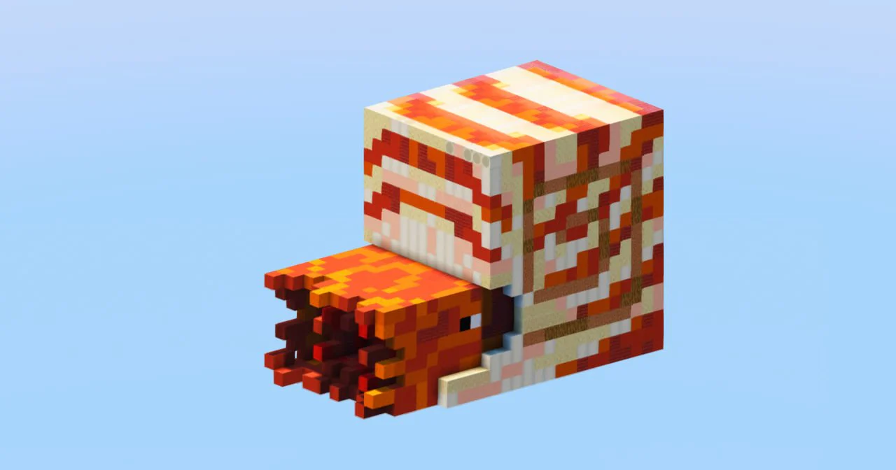 Nautilus - Image 3