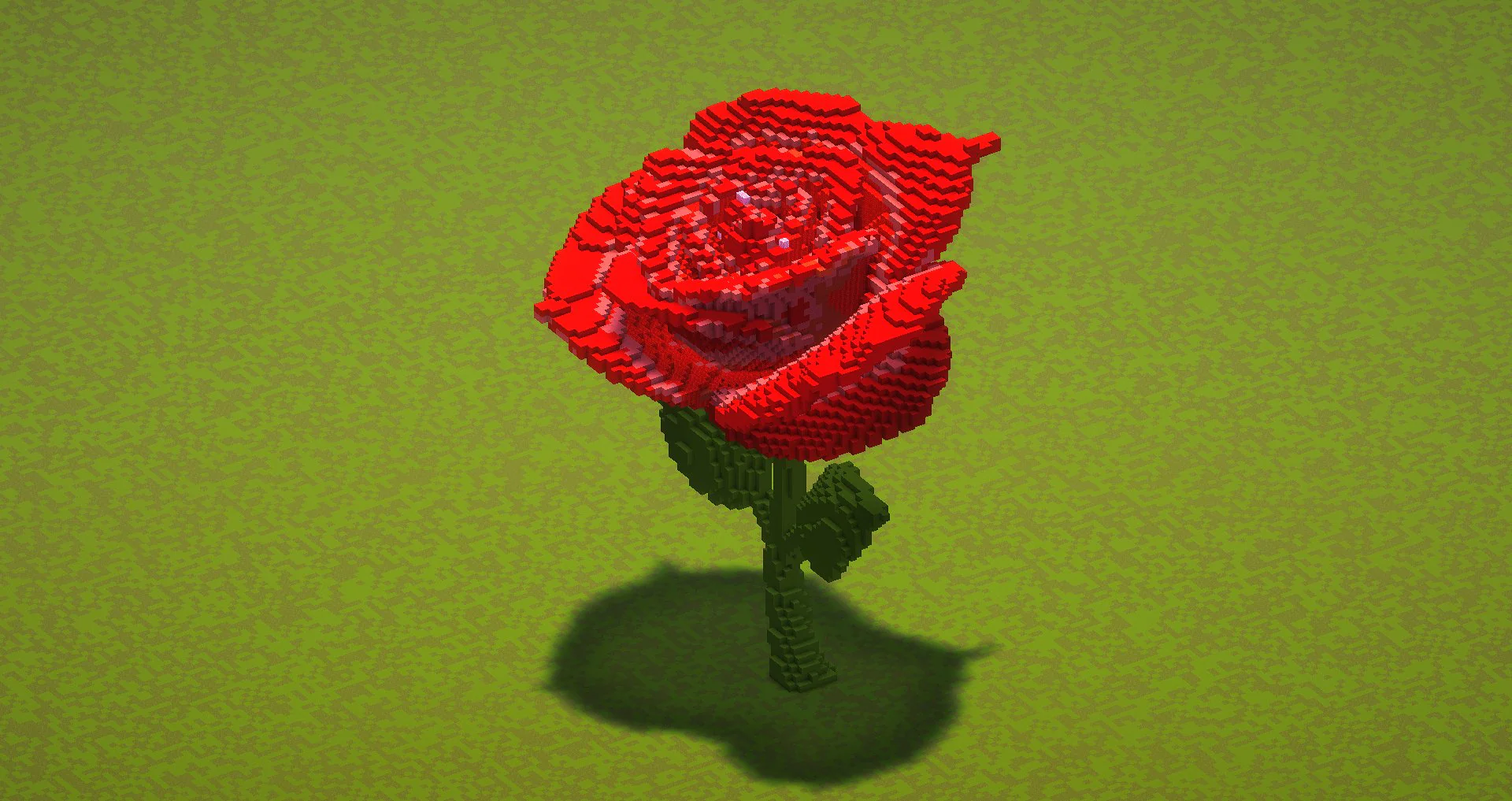 Red Rose - Image 2