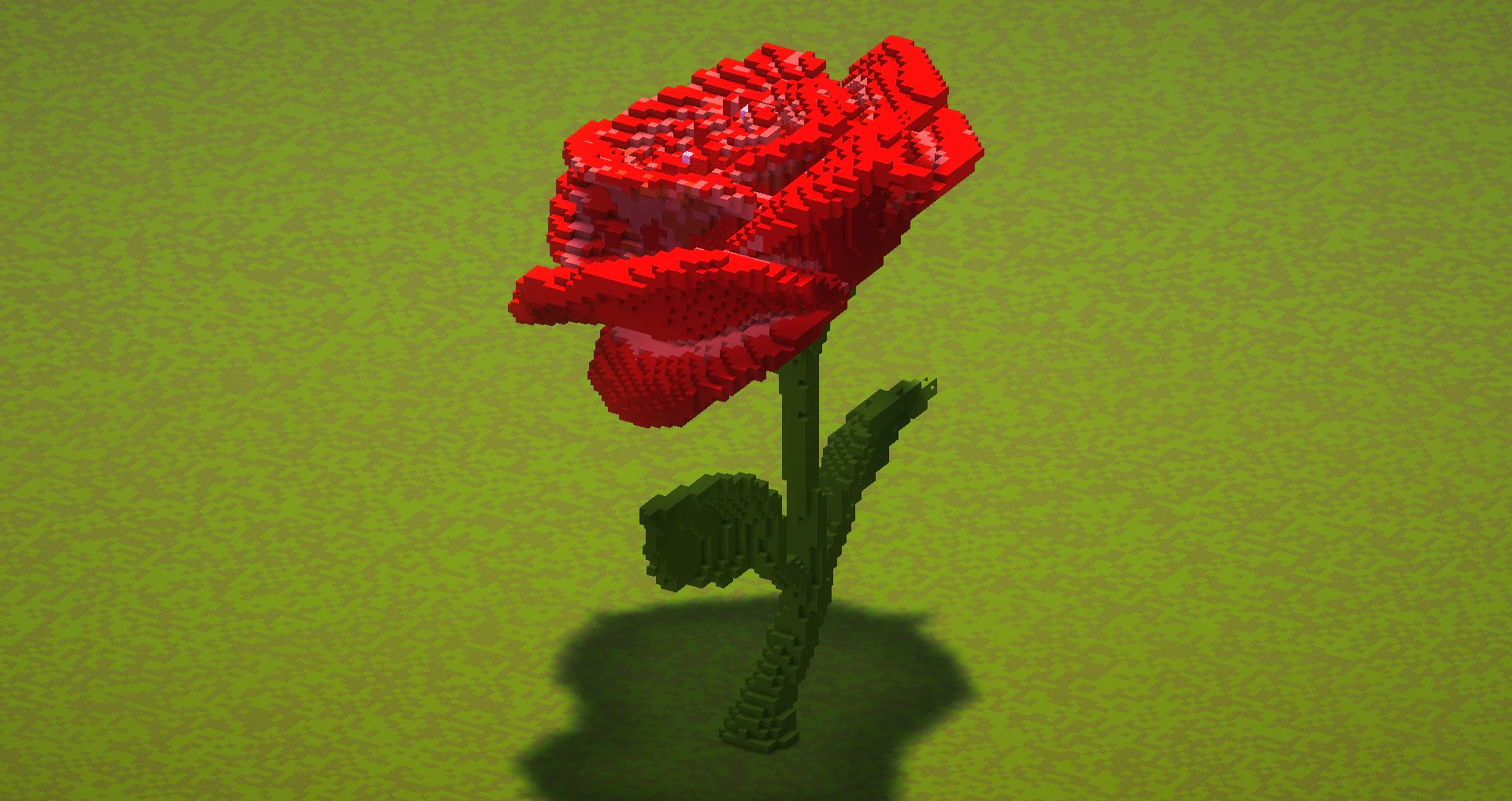 Red Rose - Image 3