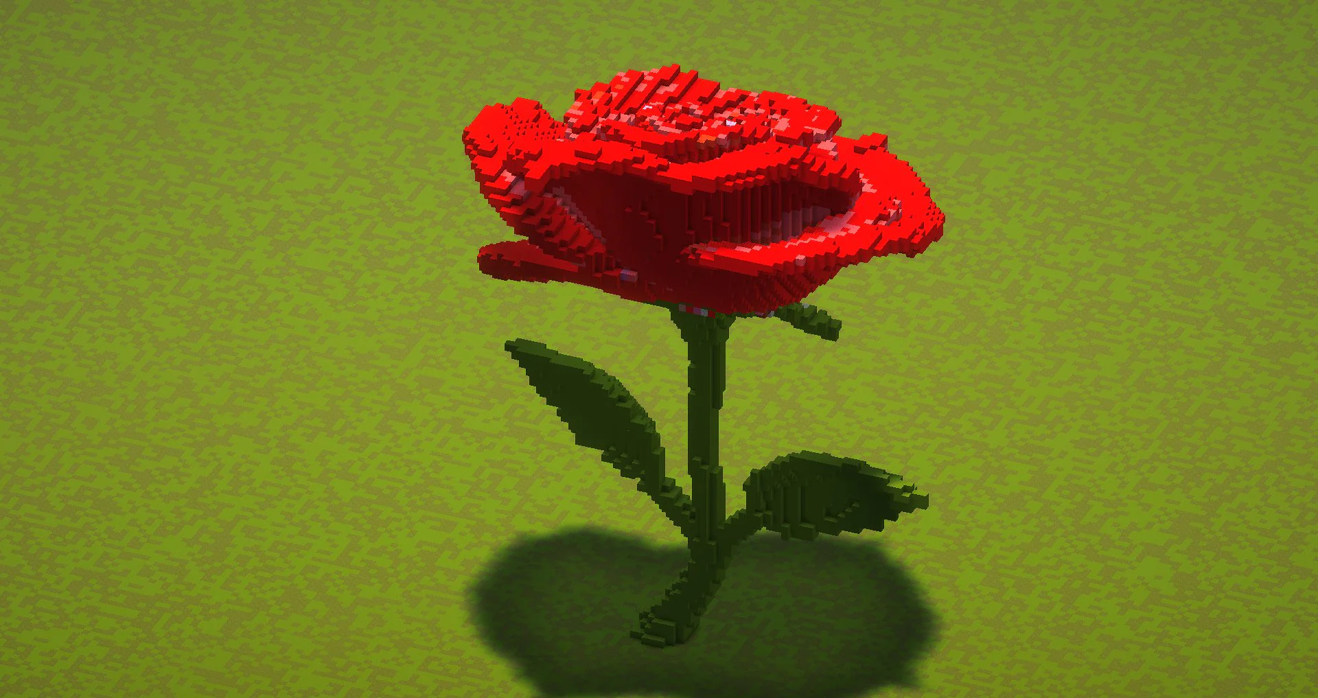 Red Rose - Image 4
