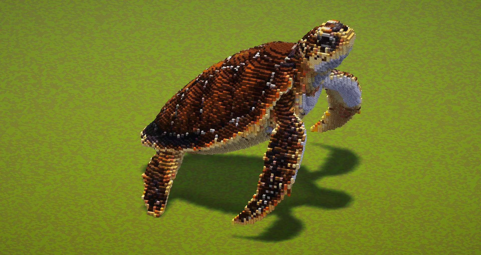 Sea Turtle - Image 2