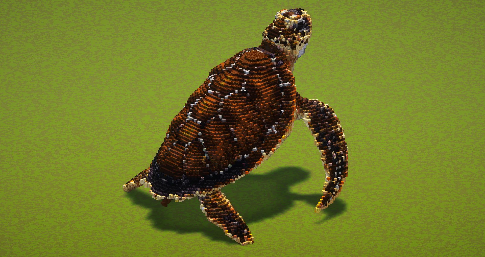 Sea Turtle - Image 3