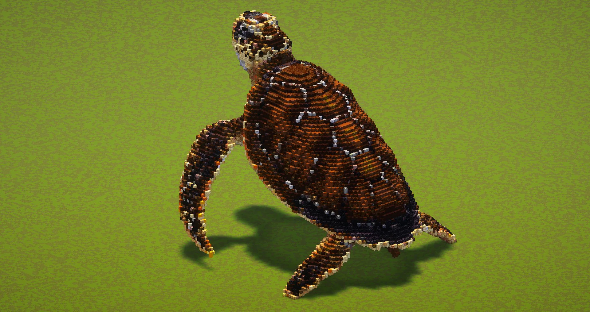 Sea Turtle - Image 4