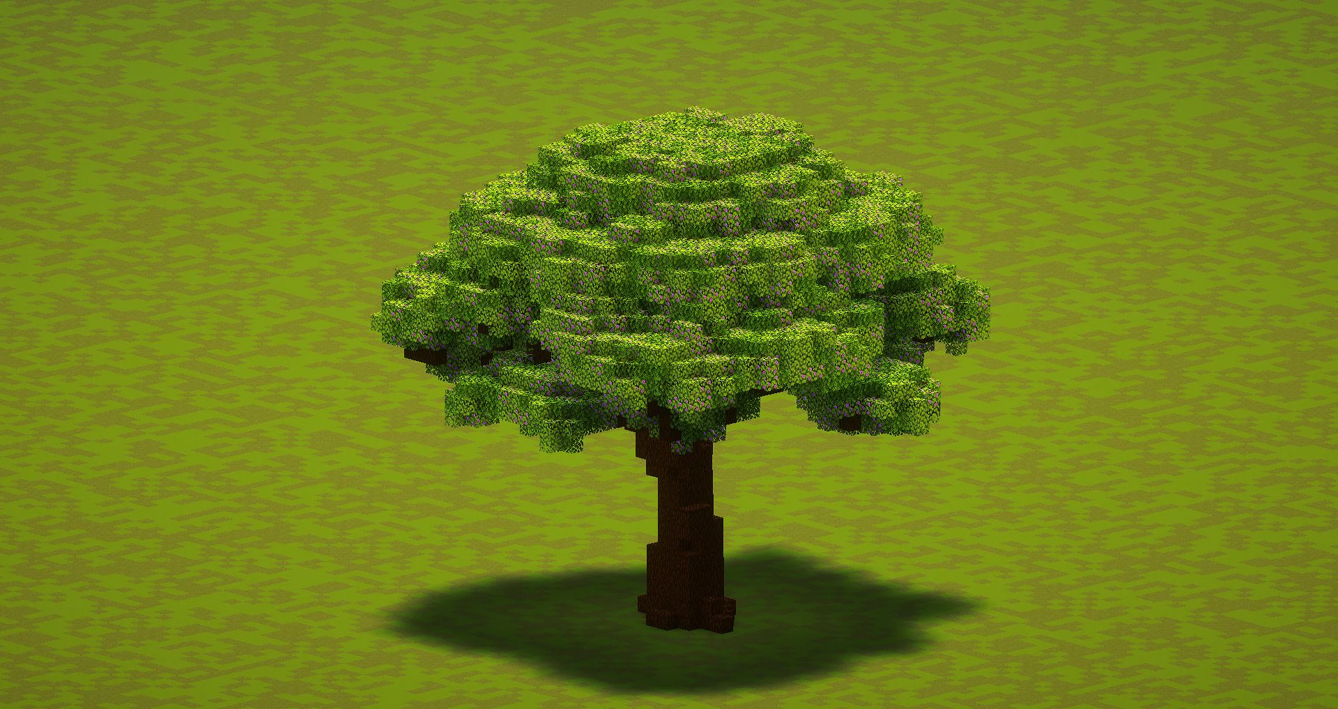 Small Azalea Tree - Image 2
