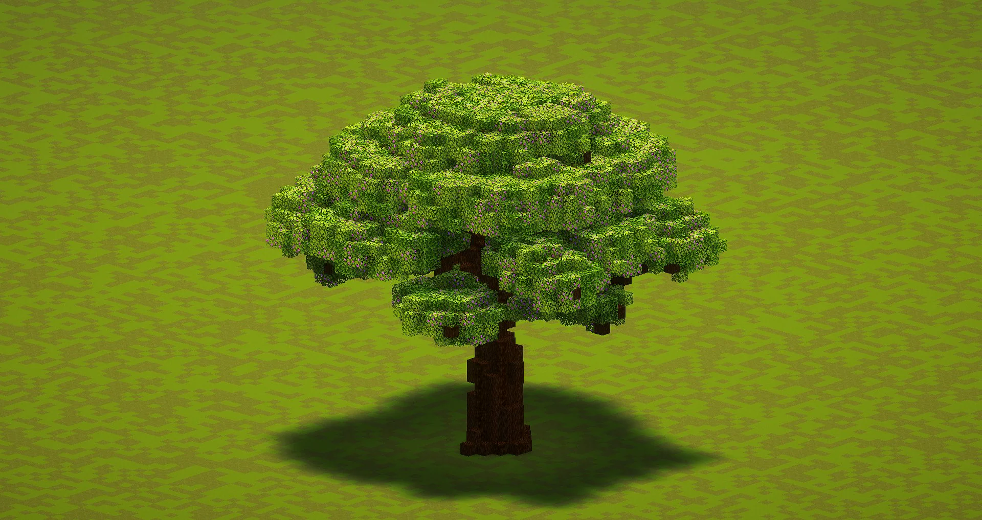 Small Azalea Tree - Image 3