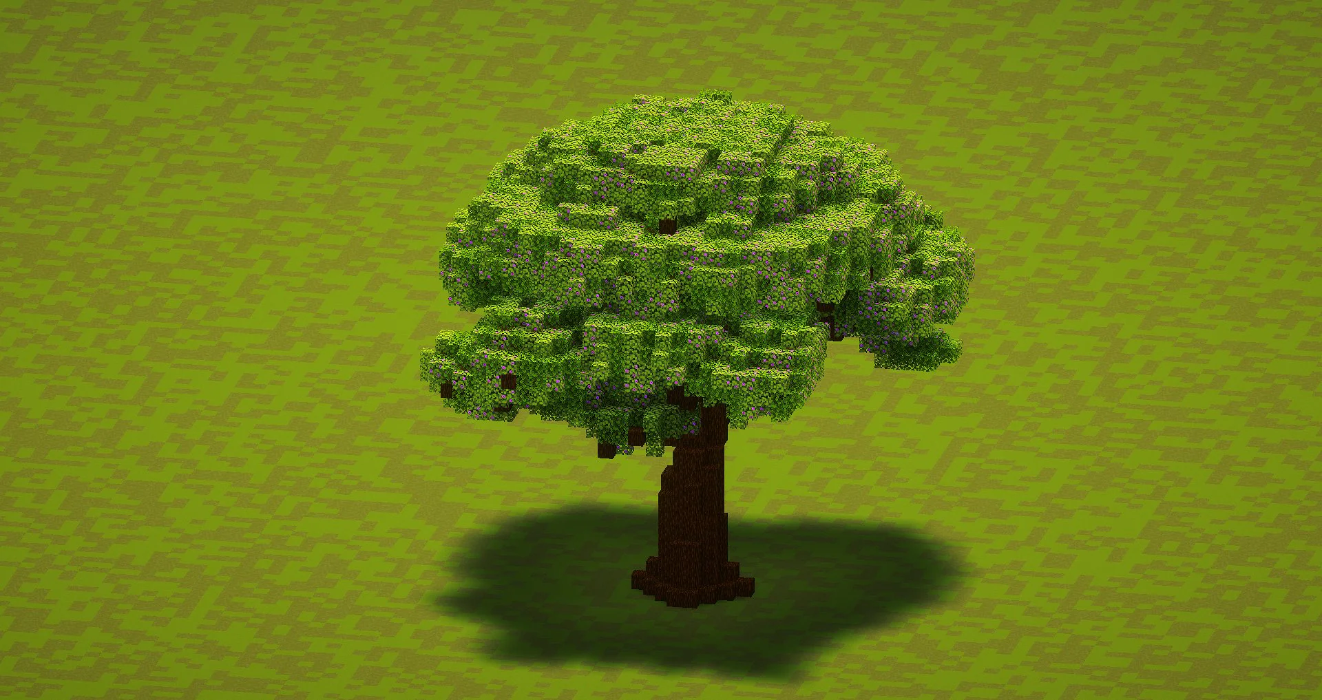 Small Azalea Tree - Image 4