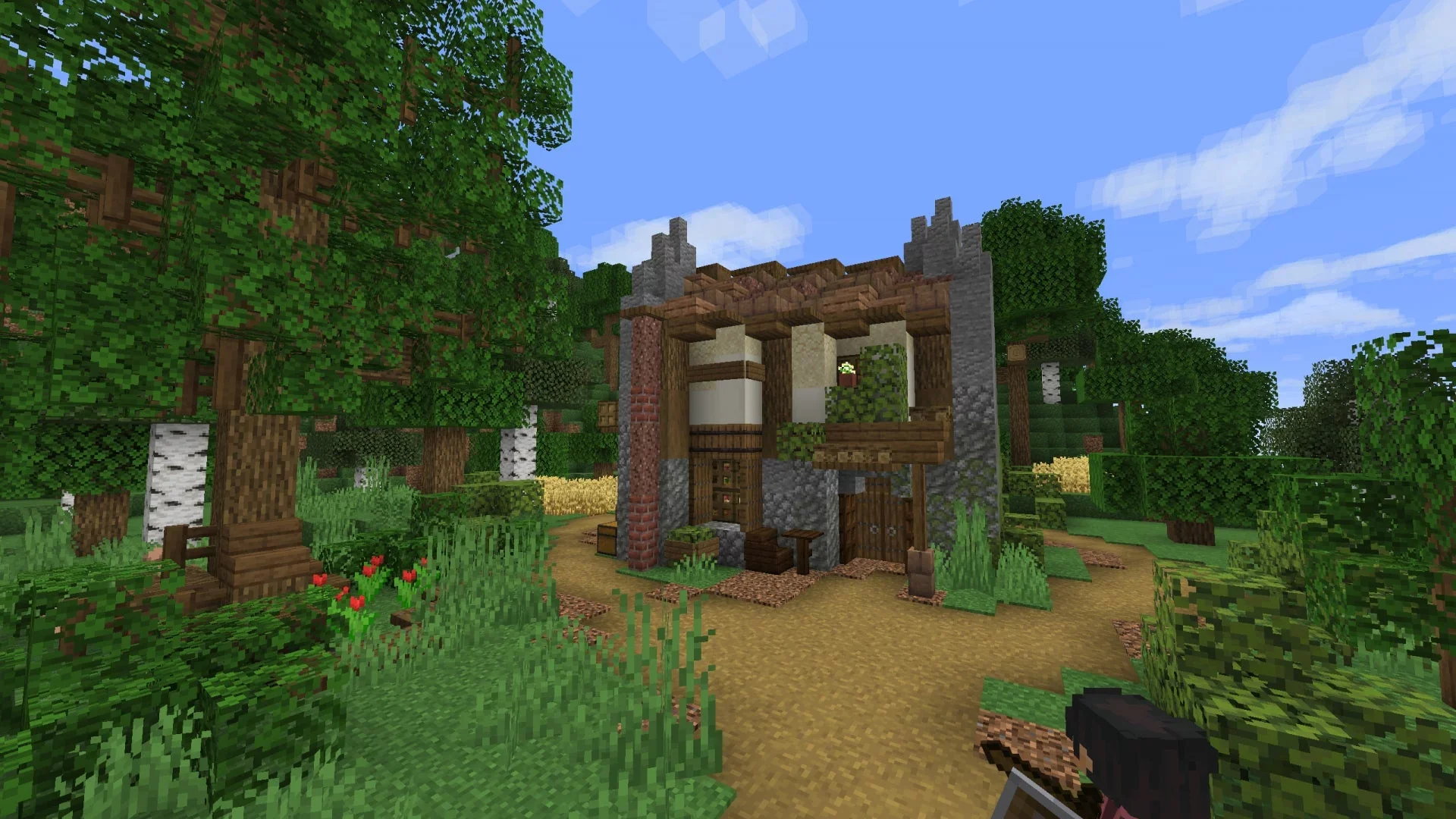 Small Diagonal Starter Home - Image 13