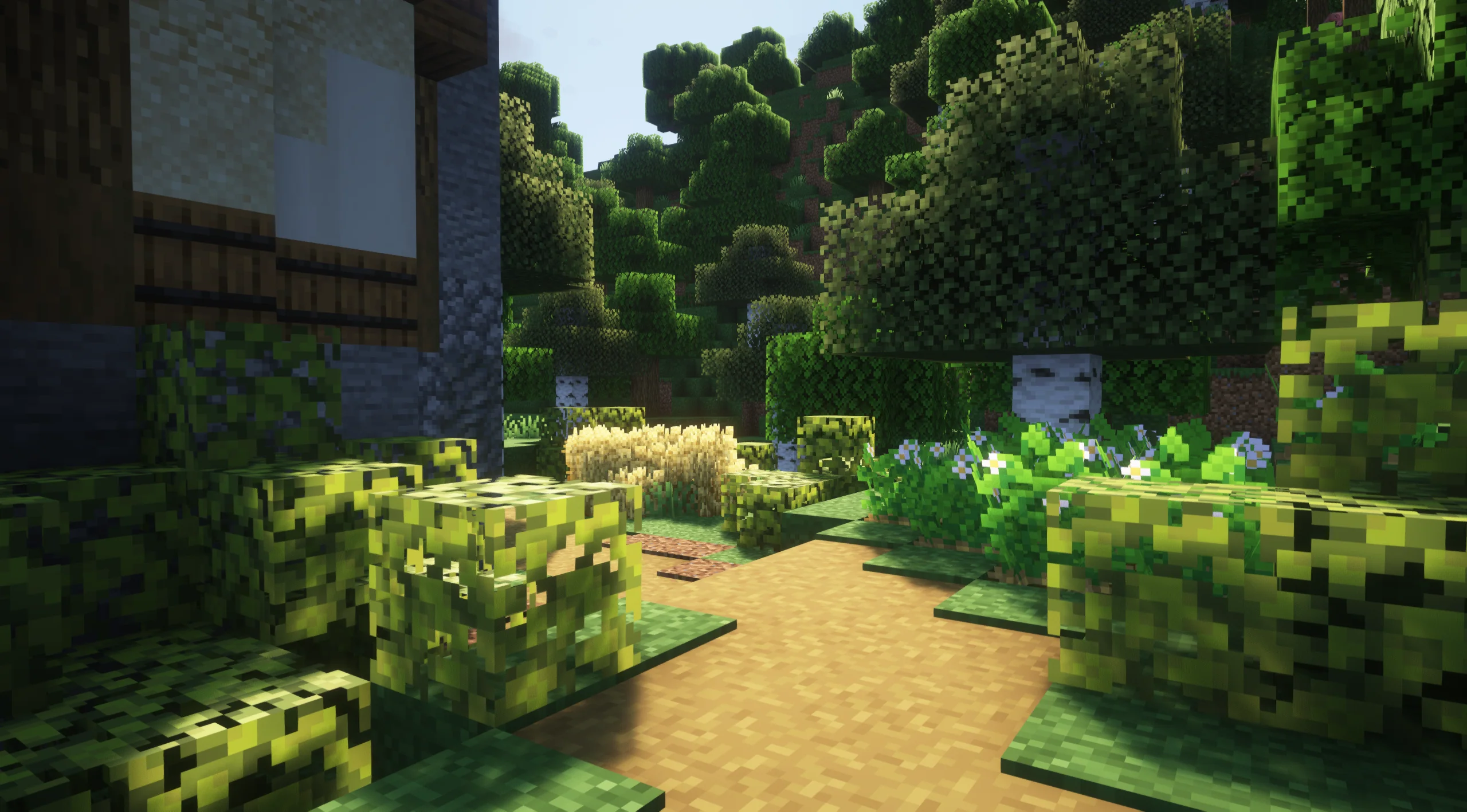 Small Diagonal Starter Home - Image 5