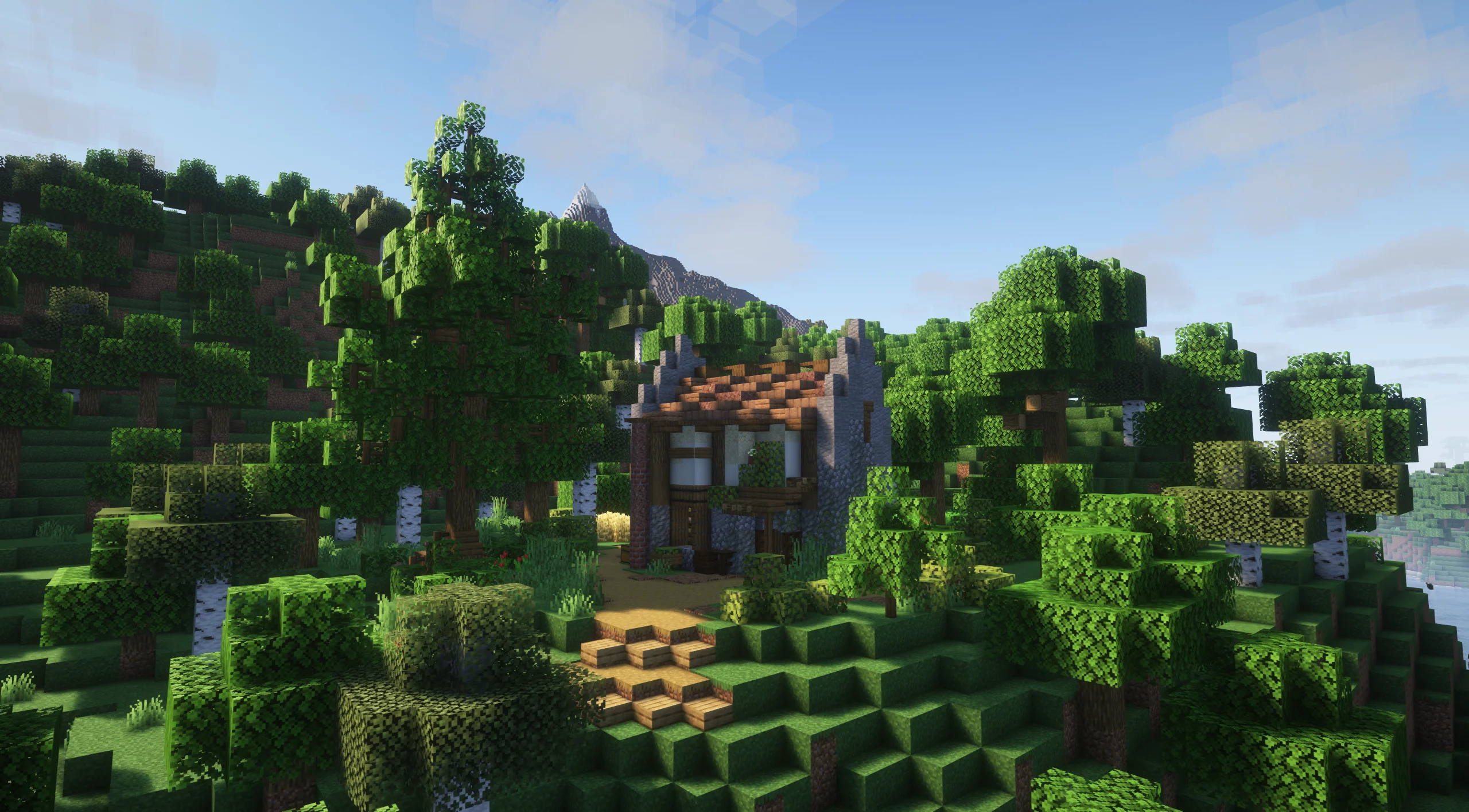 Small Diagonal Starter Home - Image 6