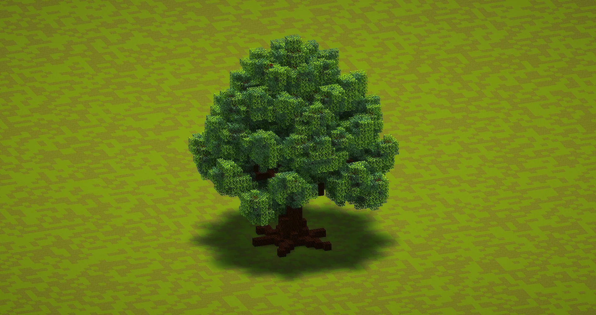 Small Pine Tree - Image 2