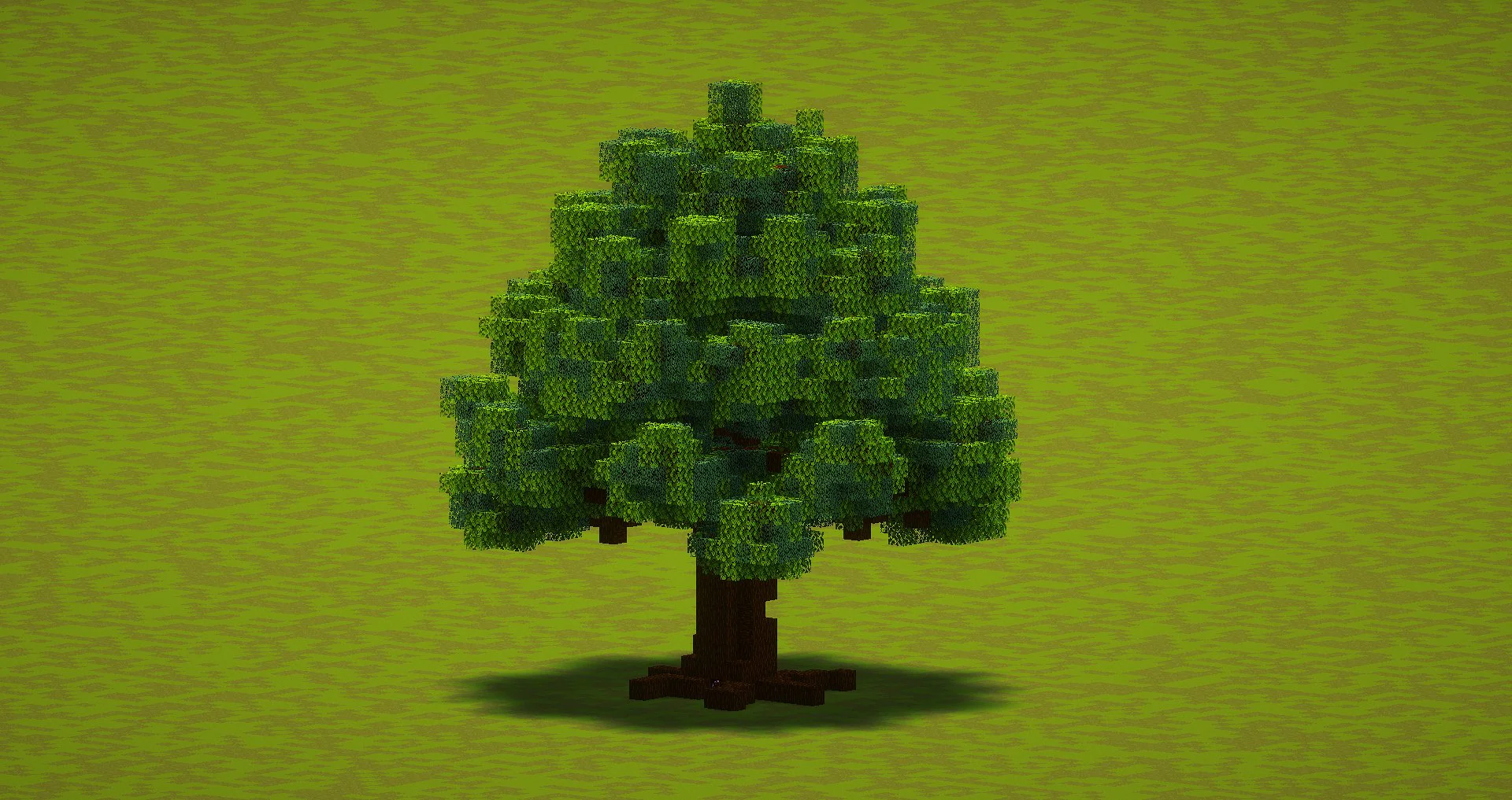 Small Pine Tree - Image 3