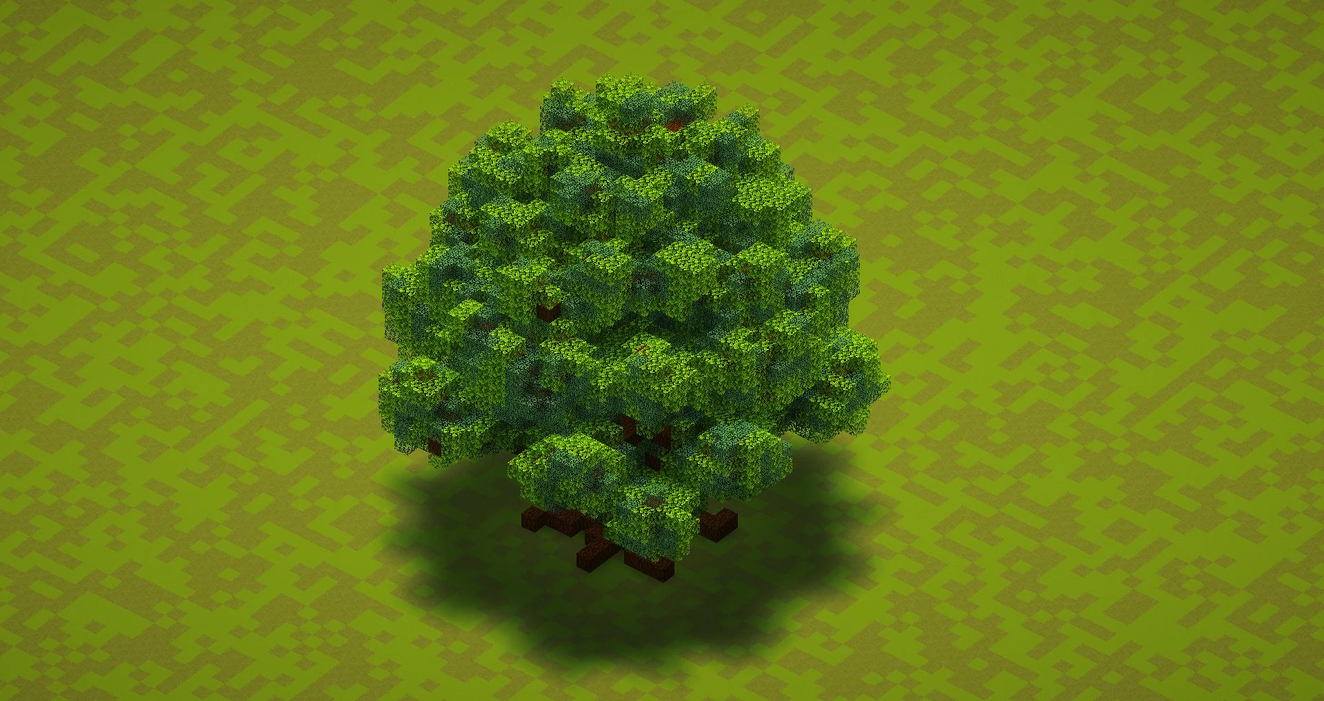Small Pine Tree - Image 4